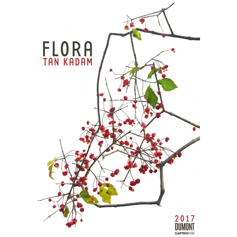 DuMont Kalenderverlag GmbH & Co. KG Nástěnný kalendář Flóra / Tan Kadam: Flora 2017 17DU3600