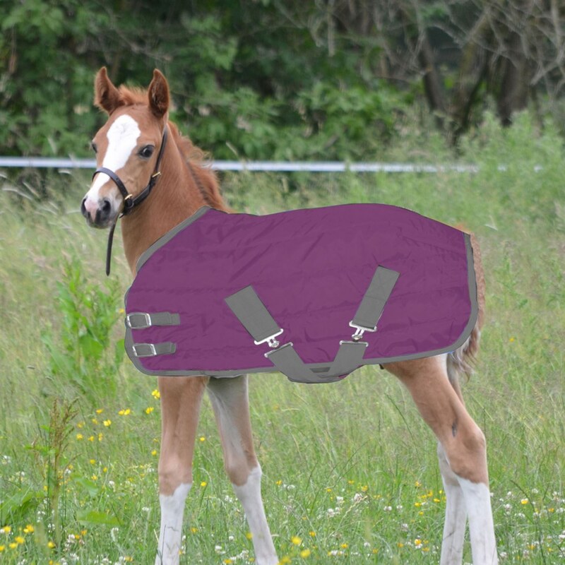 Requisite Essential Foal Quilt Lite, purple