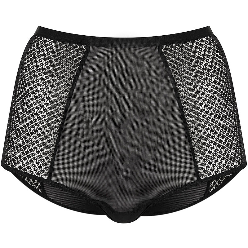 Topshop Mesh High Waisted Knickers