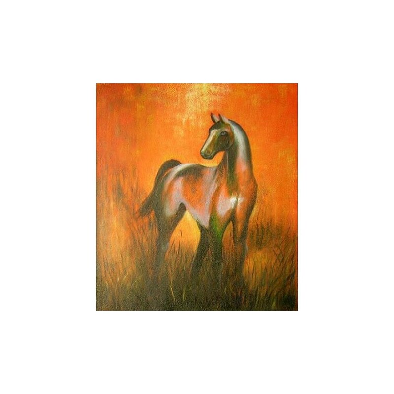 Obraz - Kůň v červánkách