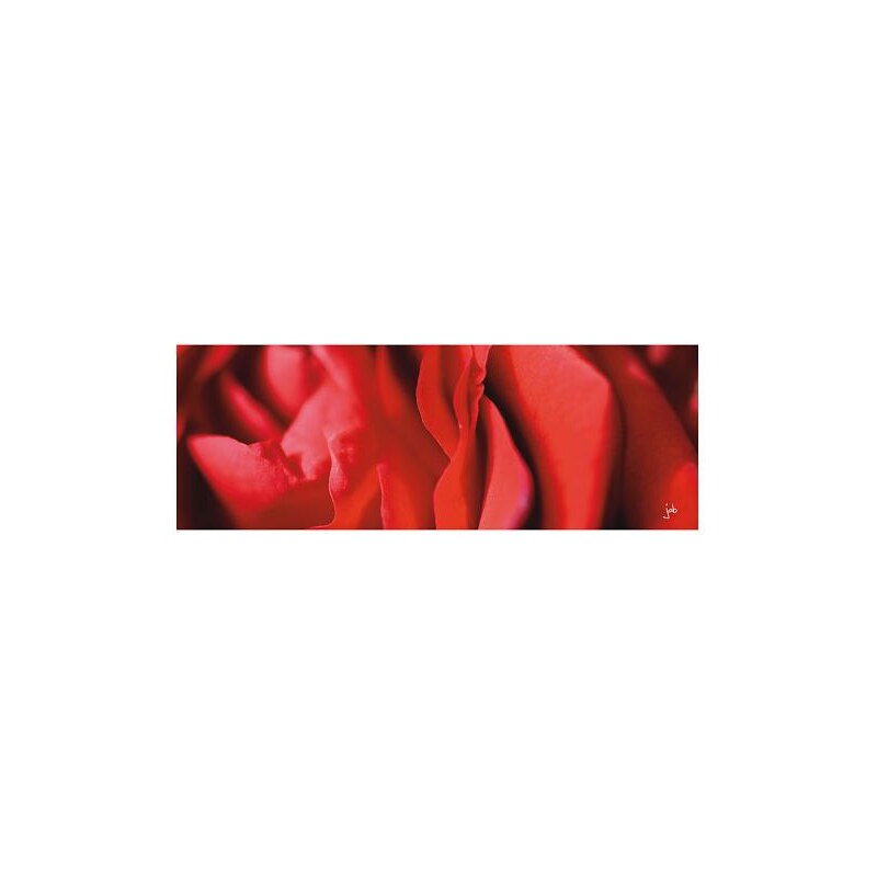 Obraz FENG-SHUI oheň-Jméno růže