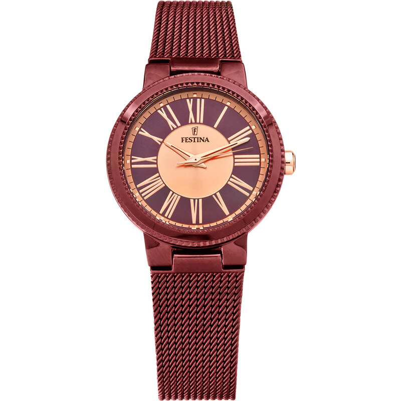 Dolce & Gabbana Dámské hodinky Festina 16966/1