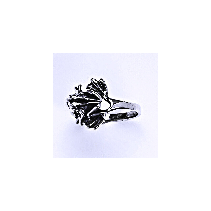 Stříbrný prsten žába s patinou, stříbrný prstýnek, T 723 15941061
