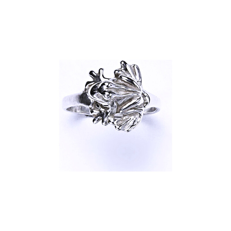 Stříbrný prsten, žába, prstýnek ze stříbra, stříbro, T 15941062
