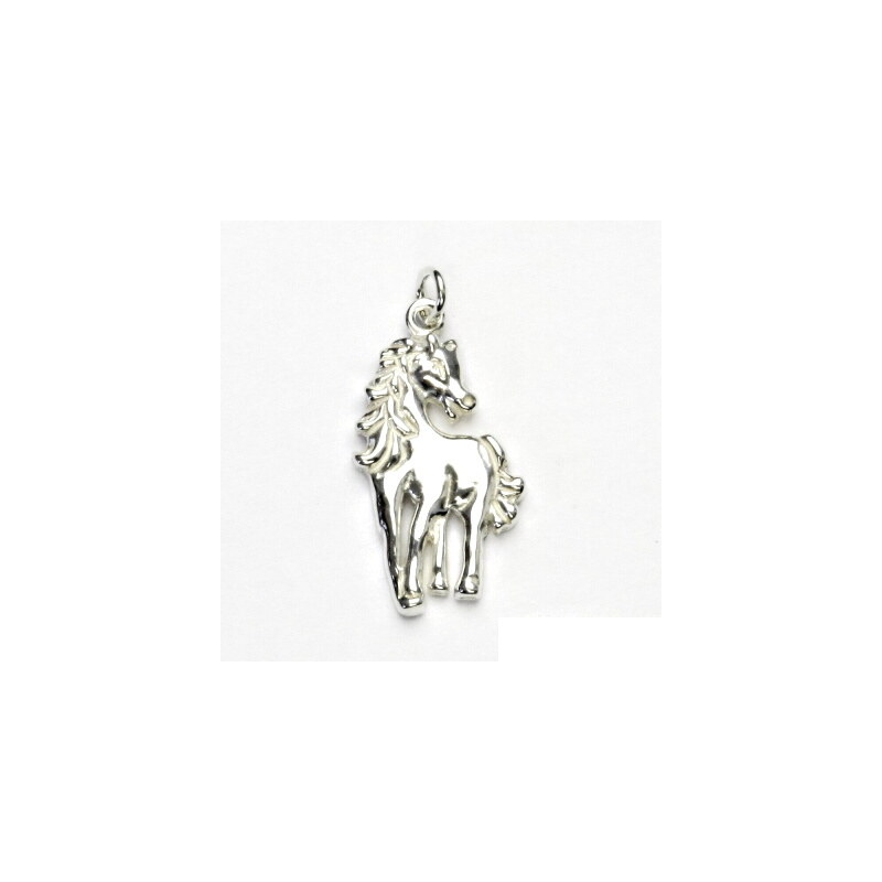 Stříbrný přívěsek, kůň, přívěšek ze stříbra, stříbro, 15941151