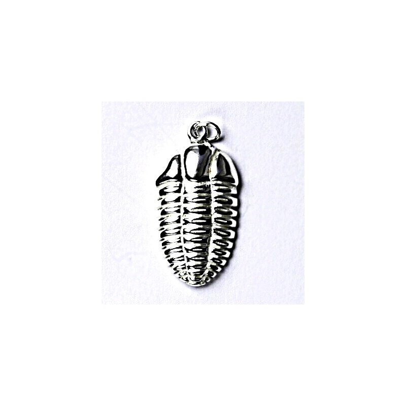 Čištín s.r.o. Stříbrný přívěšek trilobit, přívěsek ze stříbra ve