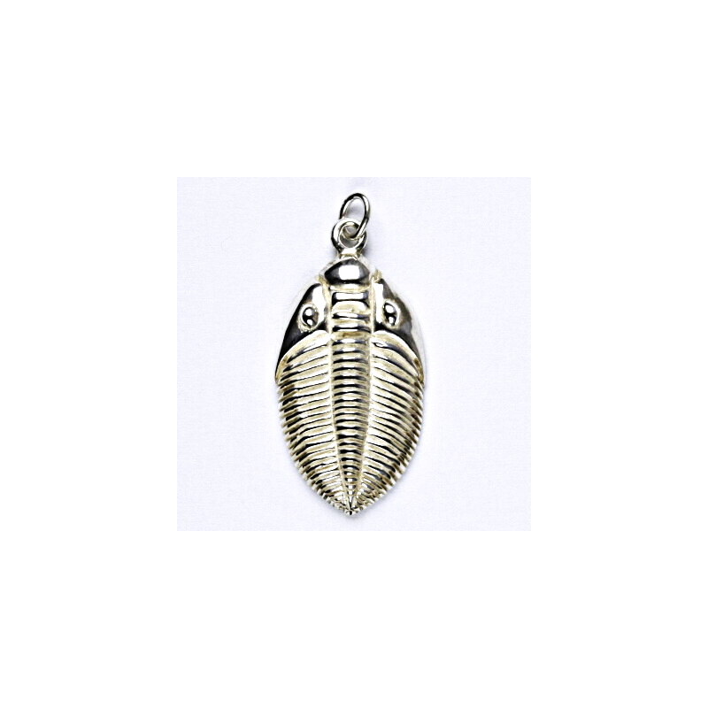 Čištín s.r.o. Stříbrný přívěsek, trilobit, přívěšek ze stříbra P