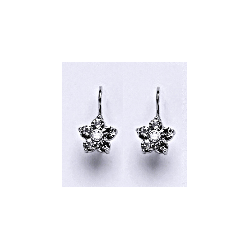 Čištín s.r.o. Stříbrné náušnice se Swarovski čirými krystaly, NK