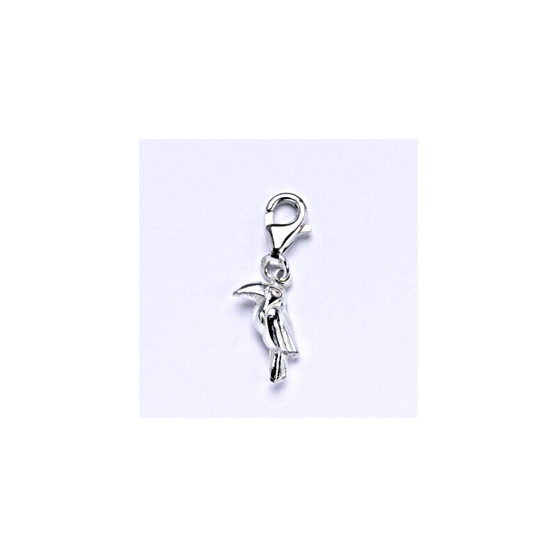 Čištín s.r.o. Stříbrný přívěšek s karabinou, papoušek, přívěšek