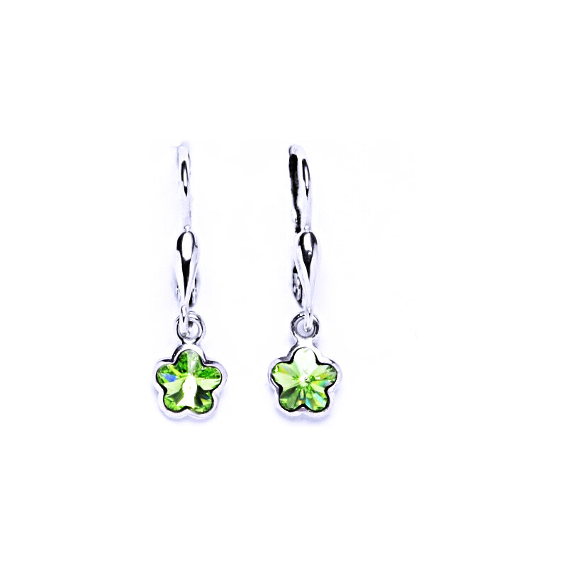 Čištín s.r.o. Náušnice stříbrné patent s krystalem Swarovski NK