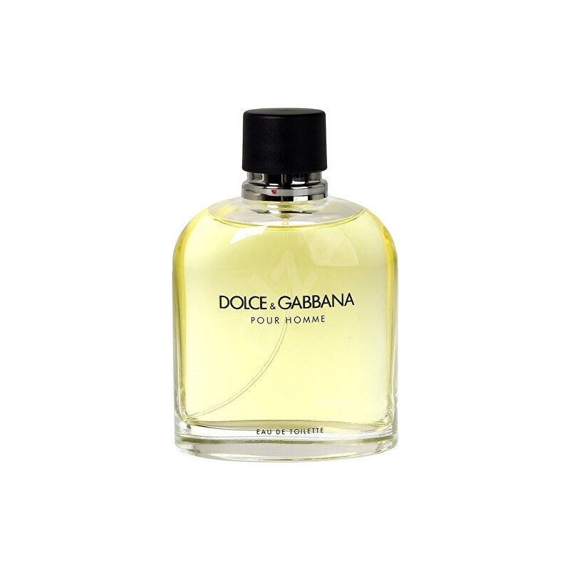 Dolce & Gabbana Pour Homme - EDT TESTER