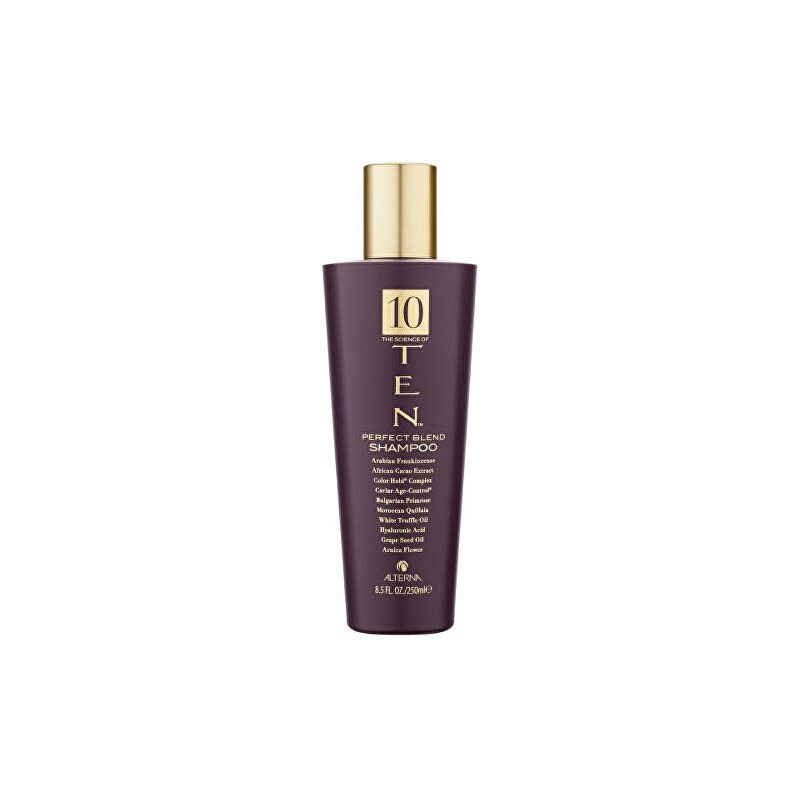 Alterna Luxusní vyživující šampon TEN (Perfect Blend Shampoo) 250 ml