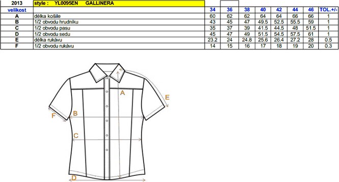 Dámská košile ENVY GALLINERA FIALOVÁ