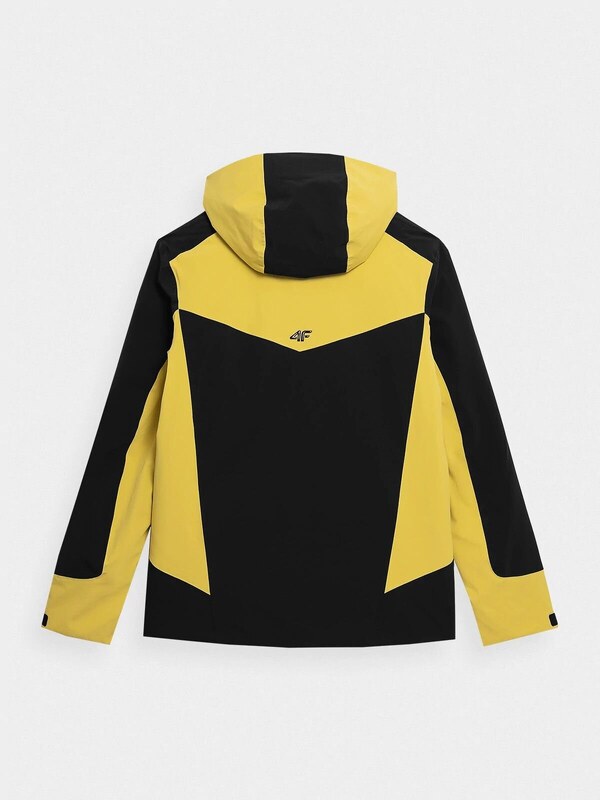 Pánská lyžařská bunda 4F