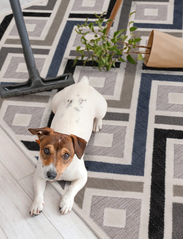 Venkovní vzorovaný koberec SHIFT ROMBY 160x220 cm Multidecor