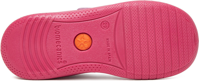 Bačkory Biomecanics