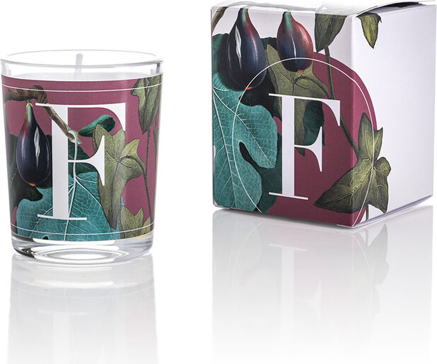 Pernici Elementi - Fig Leaves & Ivy