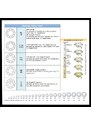 Prsten s diamantem Briline 09-36