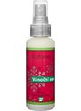 Saloos Natur aroma Airspray Vánoční sen 50 ml