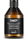 Niamh Hairkoncept Dandy Beard & Hair Shampoo 300 ml - šampon na bradu a vousy