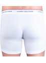 3PACK pánské boxerky Tommy Hilfiger vícebarevné (UM0UM00010 004)