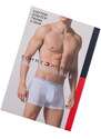 3PACK pánské boxerky Tommy Hilfiger vícebarevné (UM0UM00010 004)