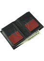 Pánská kožená peněženka Pierre Cardin TILAK09 331 černá