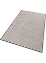 Hanse Home Collection koberce Rohožka Wash & Clean 102042 Taupe - 40x60 cm