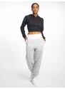 Dámské tepláky Dangerous DNGRS / Sweat Pant Fawn - šedé