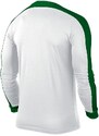 Dres s dlouhým rukávem Nike STRIKER IV LS JR 725977-102