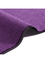 Hanse Home Collection koberce Rohožka Wash & Clean 103838 Violett - 60x180 cm