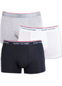 3PACK pánské boxerky Tommy Hilfiger vícebarevné nadrozměr (1U87905252 004) 3