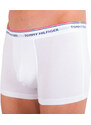 3PACK pánské boxerky Tommy Hilfiger vícebarevné nadrozměr (1U87905252 004) 3