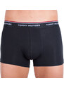 3PACK pánské boxerky Tommy Hilfiger vícebarevné nadrozměr (1U87905252 004) 3