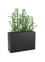Osvetleni.com Květináč Monumo LONGERINO Barva: Antracit, Odvod vody: Ano