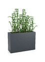 Osvetleni.com Květináč Monumo LONGERINO Barva: Antracit, Odvod vody: Ano