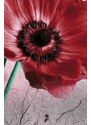 Malvis Obraz rudý květ
