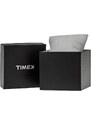 TIMEX ASHEVILLE TW2V02600