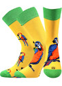 DOBLE barevné ponožky Lonka - KOALA 35-38