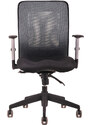Ergonomická kancelářská židle OfficePro Calypso