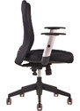 Ergonomická kancelářská židle OfficePro Calypso