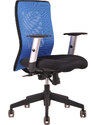 Ergonomická kancelářská židle OfficePro Calypso