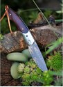 nůž zavírací Dellinger MUSHROOM KILLER vg10 Damascus