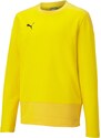 Mikina Puma teamGOAL 23 Training Sweat Jr 656568-007