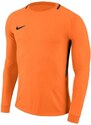 Goalkeeper jersey Nike Dry Park III LS M 894509-803