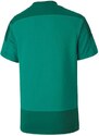 Dres Puma teamGOAL 23 Training Jersey Jr 65656905