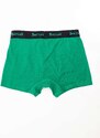 BASIC PÁNSKÉ ZELENÉ BOXERKY -GREEN Zelená