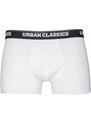 URBAN CLASSICS Men Boxer Shorts Double Pack - palm aop+white