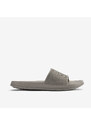 COQUI TORA Mid. grey