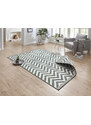 NORTHRUGS - Hanse Home koberce Kusový koberec Twin Supreme 103436 Palma Green creme – na ven i na doma - 120x170 cm